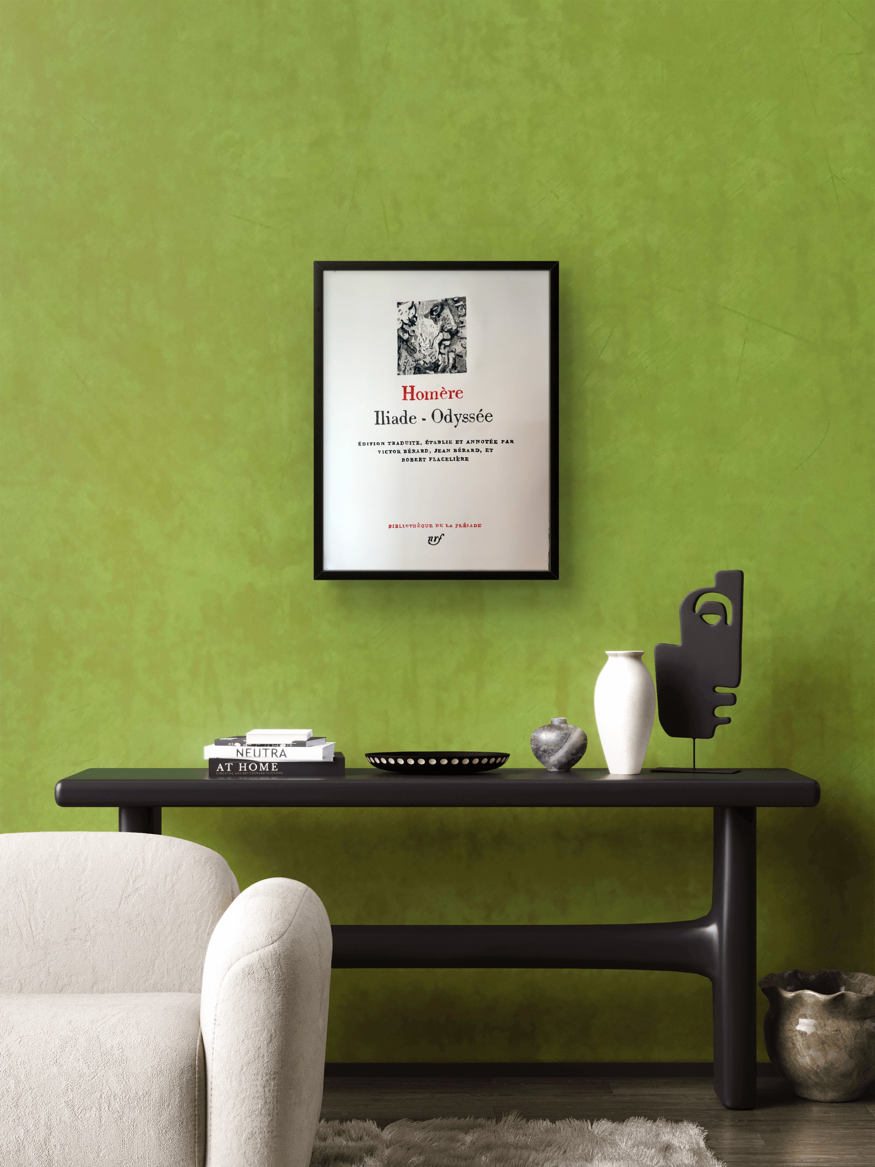 Couverture Pléiade Homère